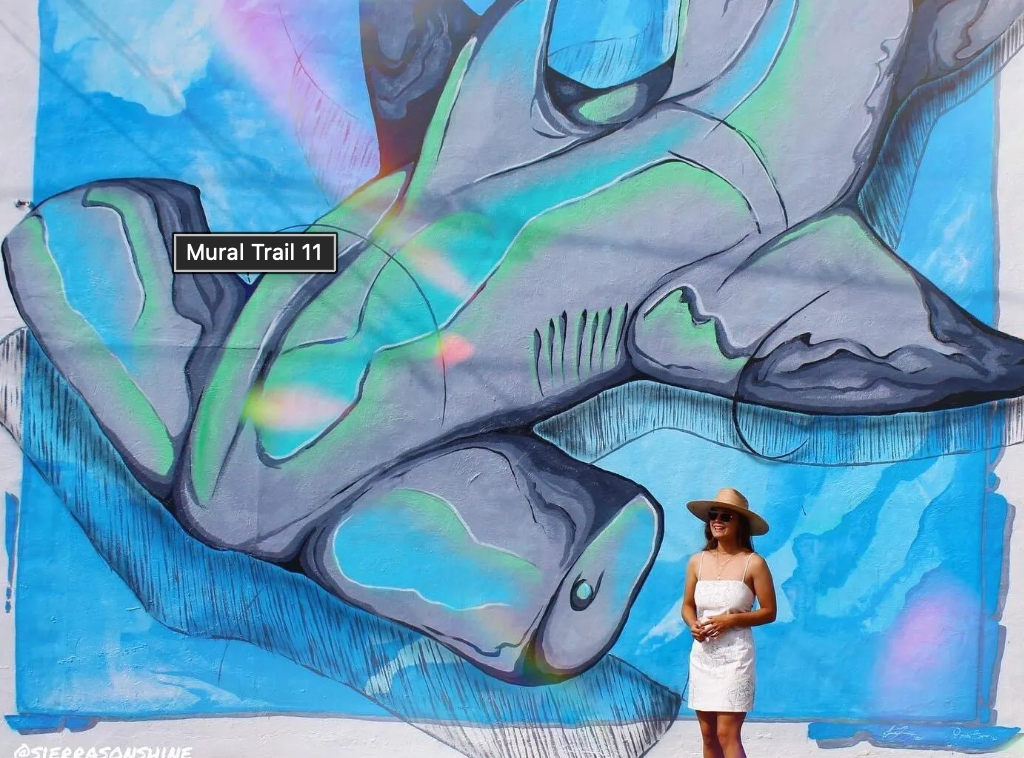 Mural Trail 11 — shark mural in downtown Panama City